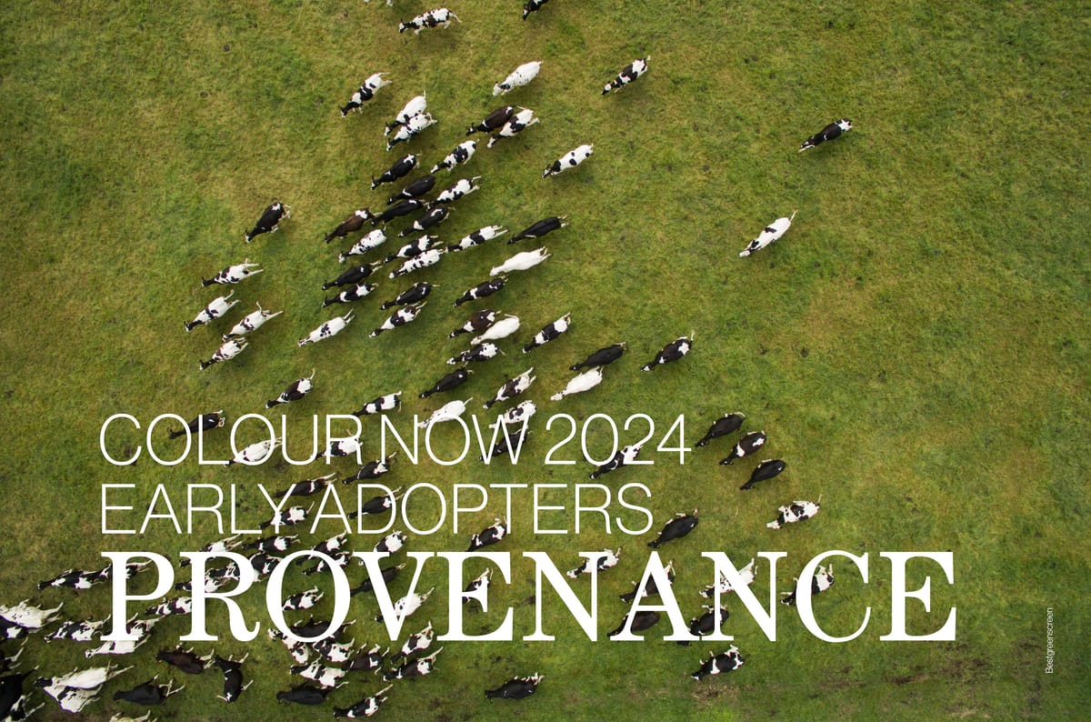 Colour Now 2024 | PROVENANCE