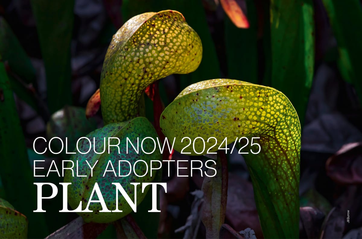 Colour Now 2024/25 | PLANT