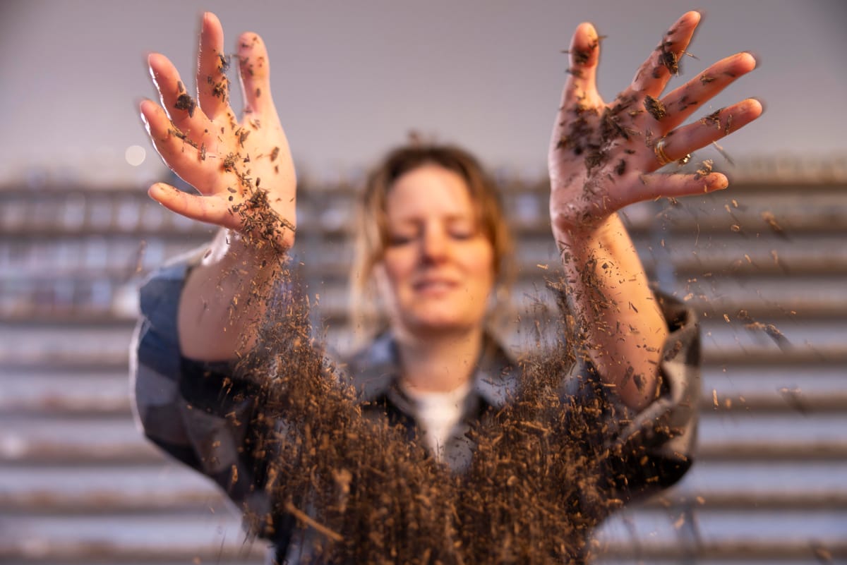 Museum of Edible Earth